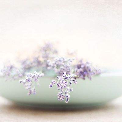 博鱼app下载手机版